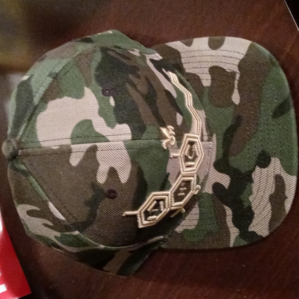 Grassroots Snapback Hat - image 1